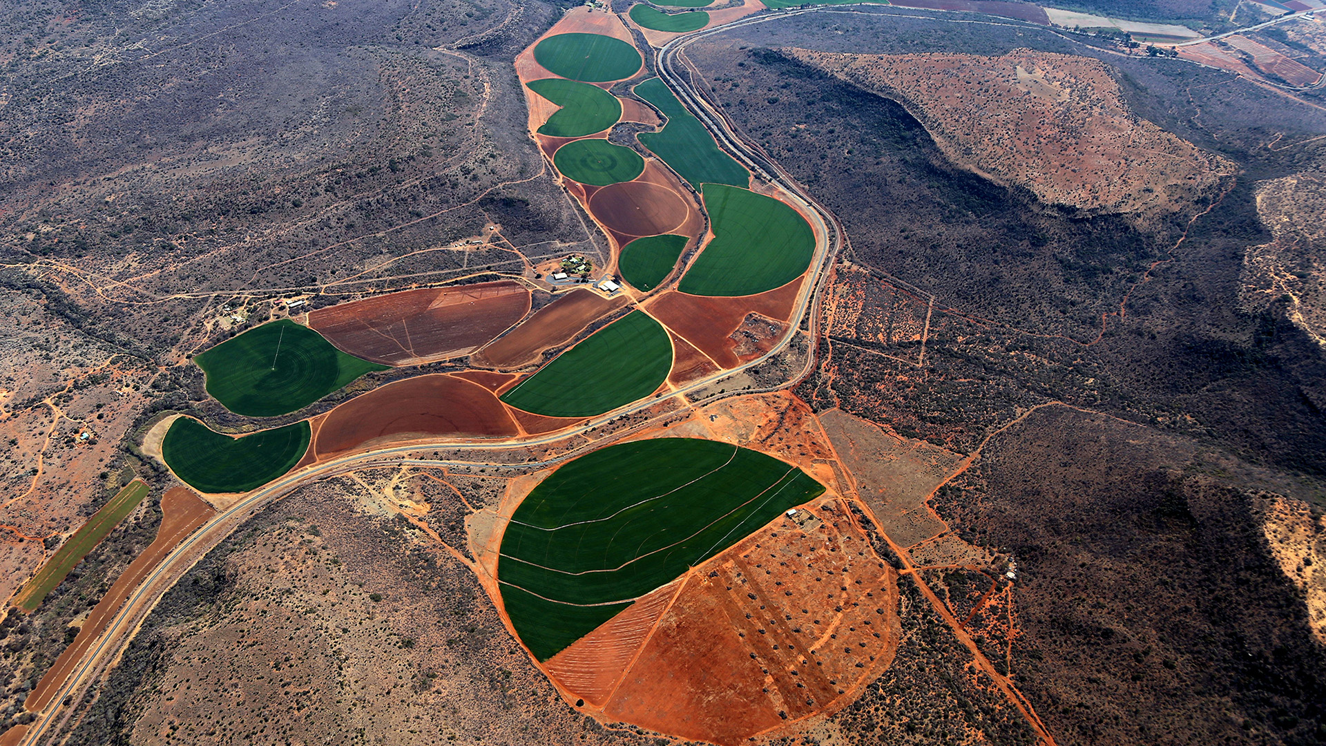 Aerial view of croplands