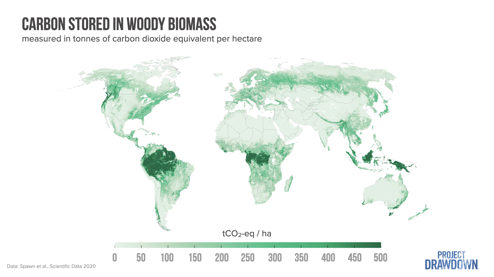 A map showing the amount of carbon stored in woody biomass. Densest stores are seen in the Amazon, Congo Basin, and Indonesia.