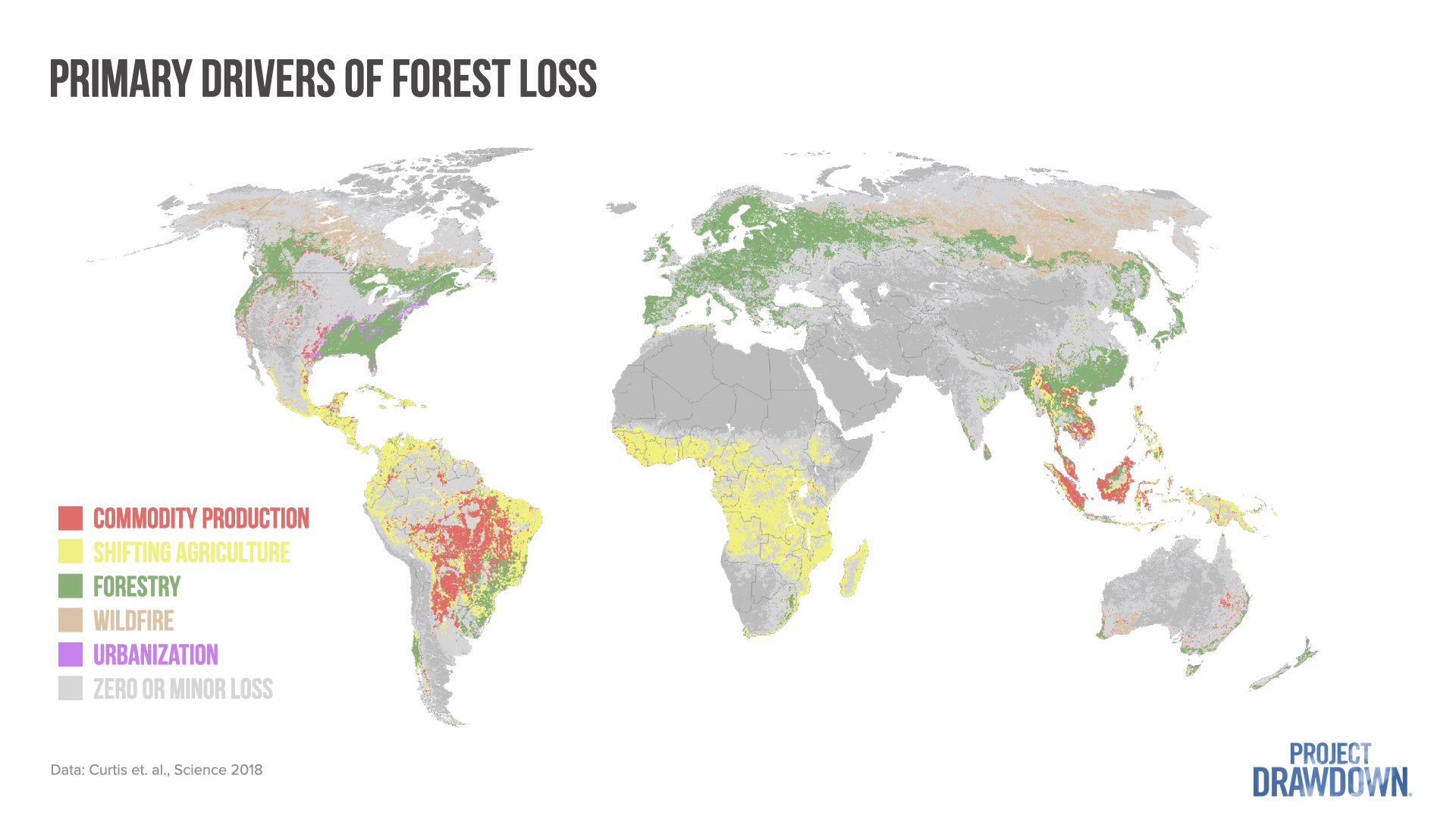 A map showing primary drivers of forest loss around the world. Major drivers include commodity production, shifting agriculture, forestry, wildfire, and urbanization. 