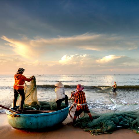 Fishing in Asia - Photo by Quang Nguyen Vinh on Unsplash